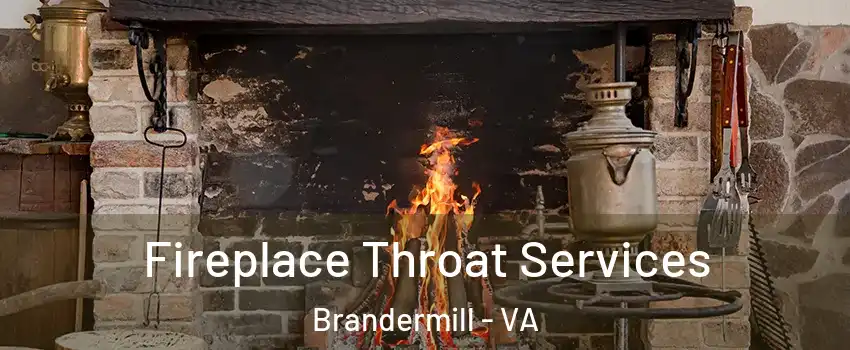 Fireplace Throat Services Brandermill - VA