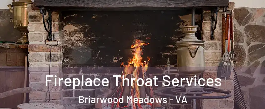 Fireplace Throat Services Briarwood Meadows - VA