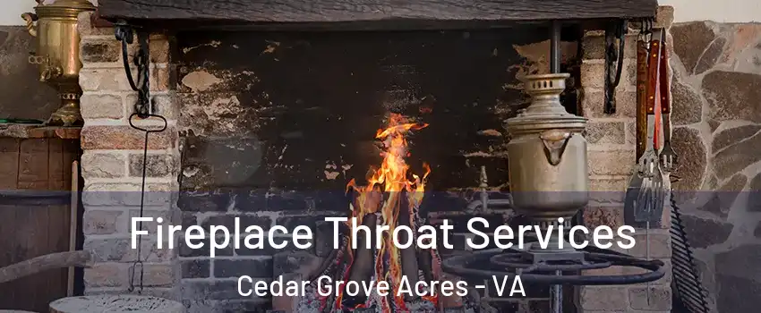 Fireplace Throat Services Cedar Grove Acres - VA