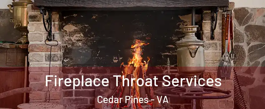 Fireplace Throat Services Cedar Pines - VA