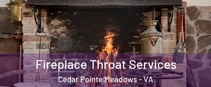 Fireplace Throat Services Cedar Pointe Meadows - VA