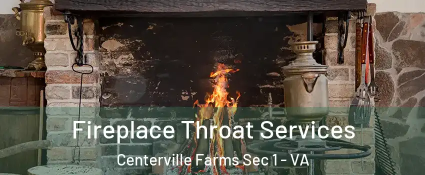 Fireplace Throat Services Centerville Farms Sec 1 - VA