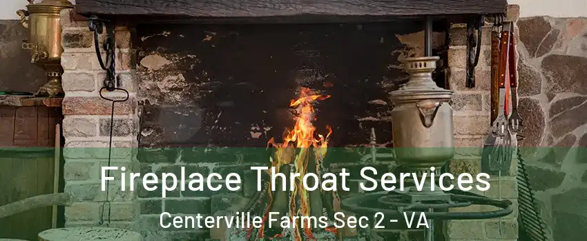 Fireplace Throat Services Centerville Farms Sec 2 - VA
