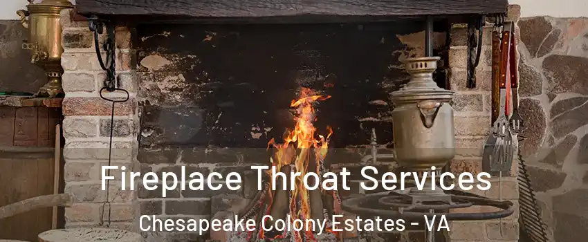 Fireplace Throat Services Chesapeake Colony Estates - VA