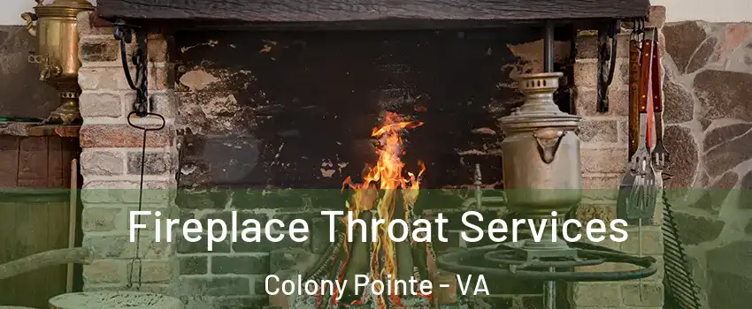 Fireplace Throat Services Colony Pointe - VA