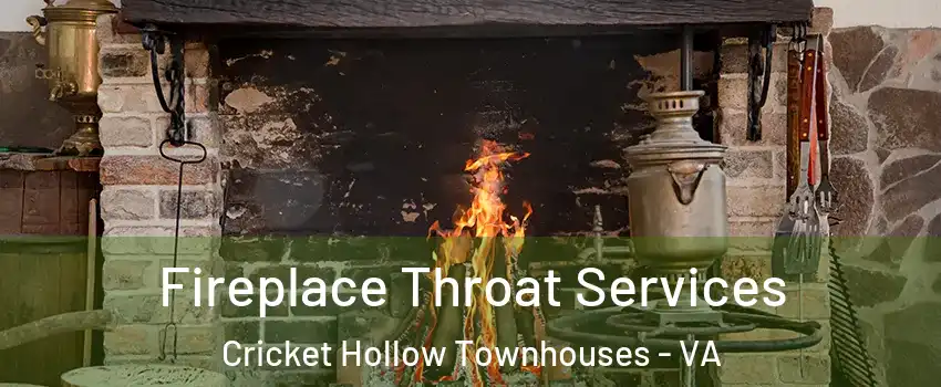 Fireplace Throat Services Cricket Hollow Townhouses - VA