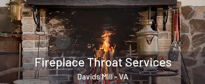 Fireplace Throat Services Davids Mill - VA