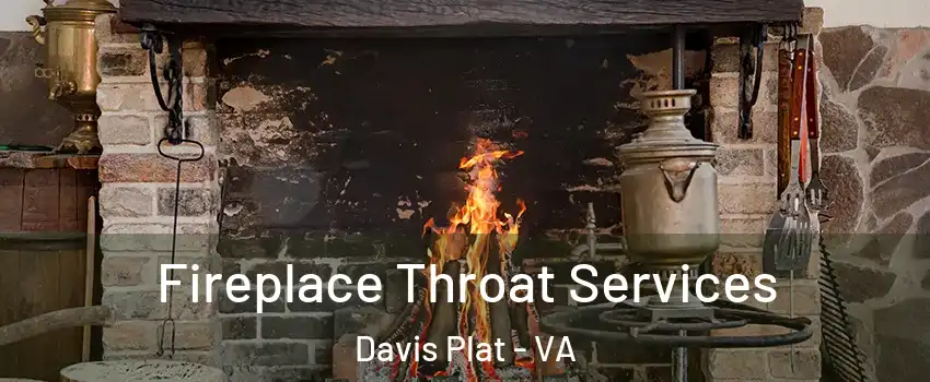 Fireplace Throat Services Davis Plat - VA
