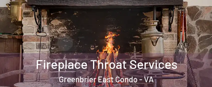Fireplace Throat Services Greenbrier East Condo - VA