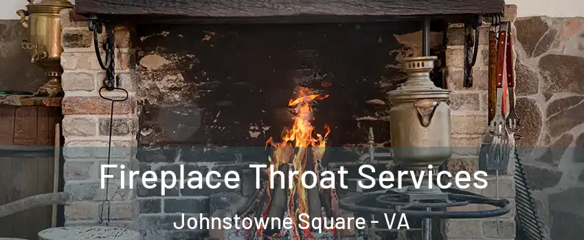 Fireplace Throat Services Johnstowne Square - VA