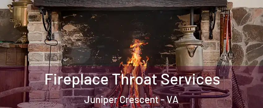 Fireplace Throat Services Juniper Crescent - VA