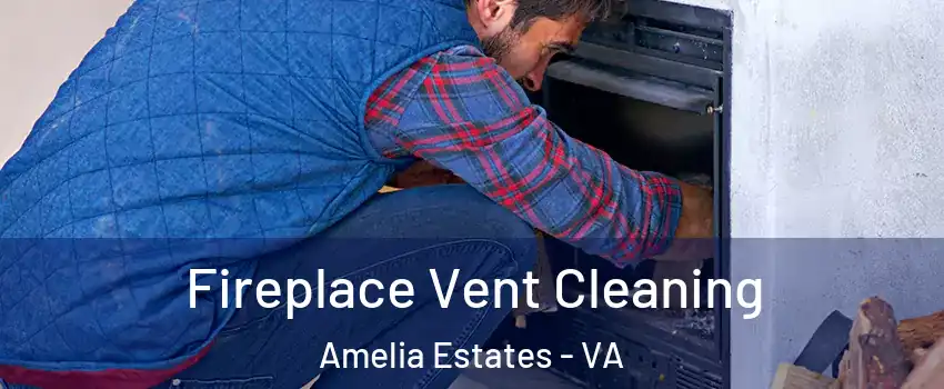 Fireplace Vent Cleaning Amelia Estates - VA