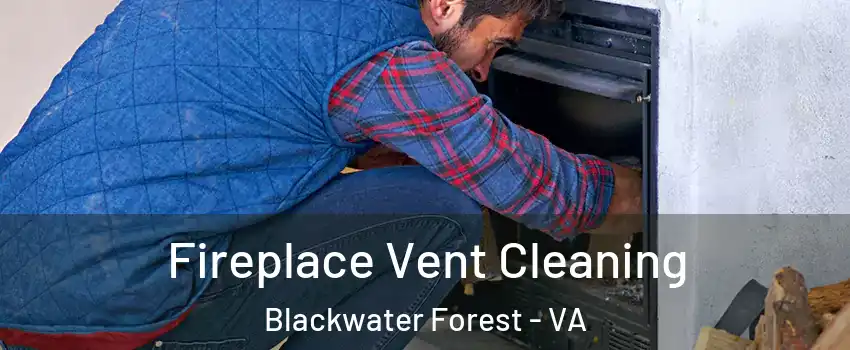 Fireplace Vent Cleaning Blackwater Forest - VA