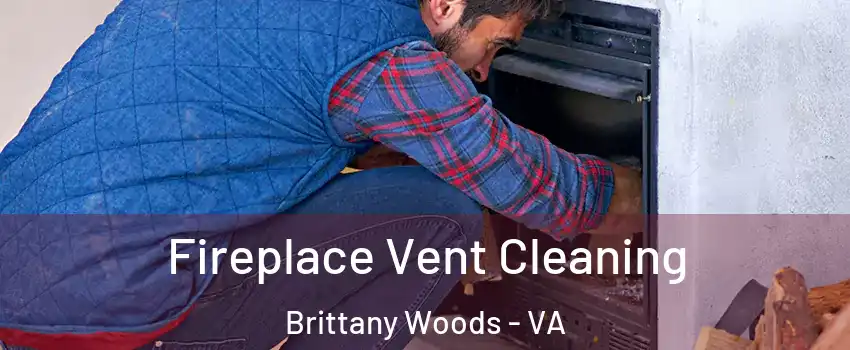 Fireplace Vent Cleaning Brittany Woods - VA
