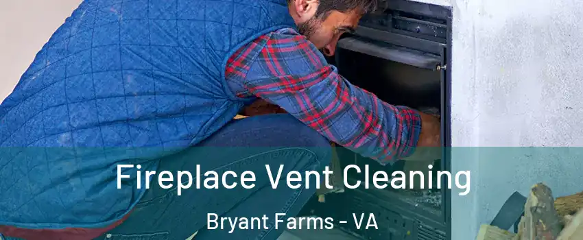 Fireplace Vent Cleaning Bryant Farms - VA