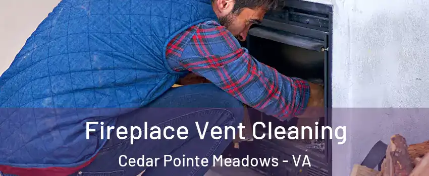 Fireplace Vent Cleaning Cedar Pointe Meadows - VA