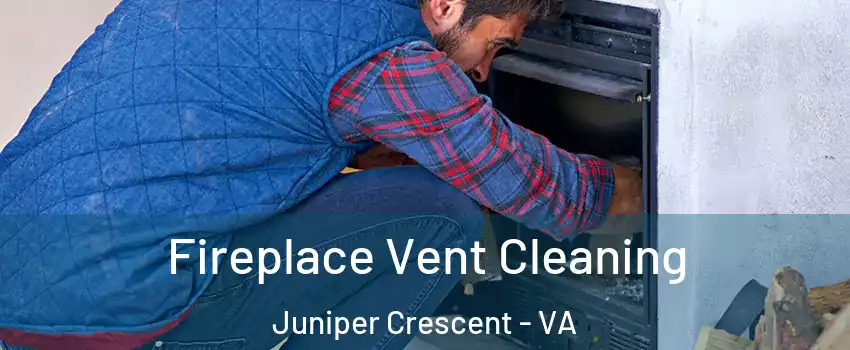 Fireplace Vent Cleaning Juniper Crescent - VA