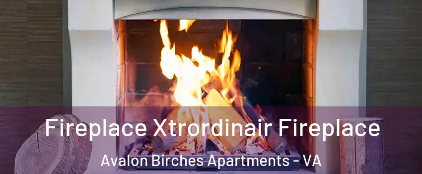 Fireplace Xtrordinair Fireplace Avalon Birches Apartments - VA