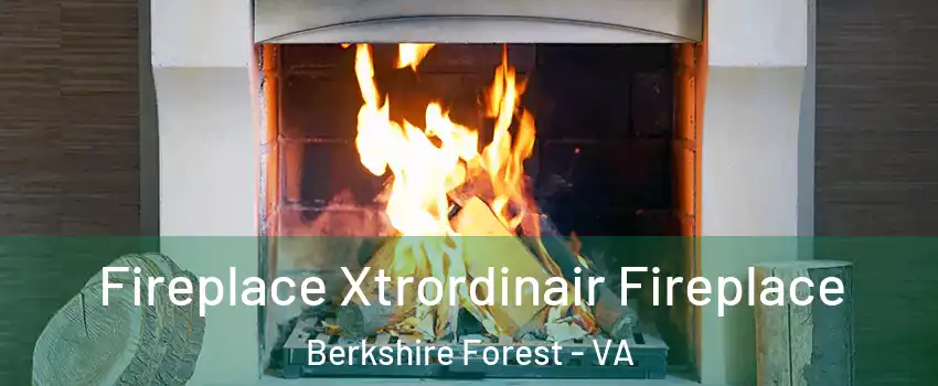 Fireplace Xtrordinair Fireplace Berkshire Forest - VA