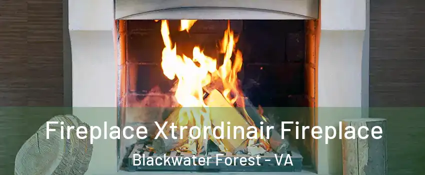 Fireplace Xtrordinair Fireplace Blackwater Forest - VA