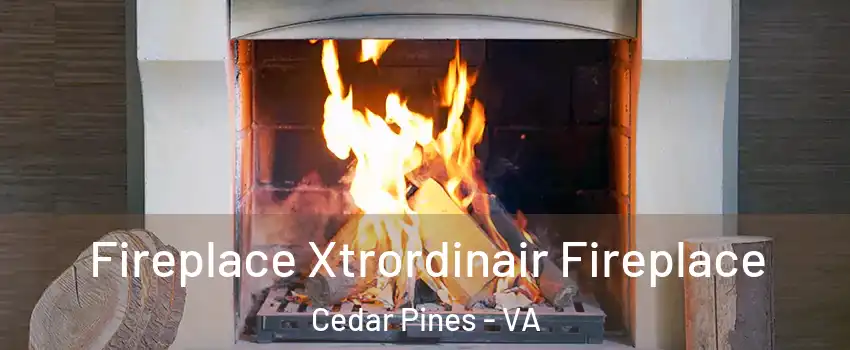 Fireplace Xtrordinair Fireplace Cedar Pines - VA
