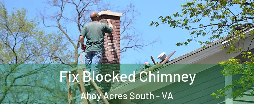 Fix Blocked Chimney Ahoy Acres South - VA