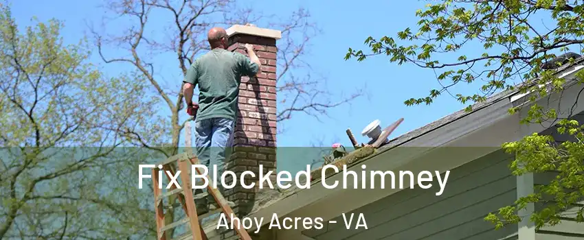 Fix Blocked Chimney Ahoy Acres - VA
