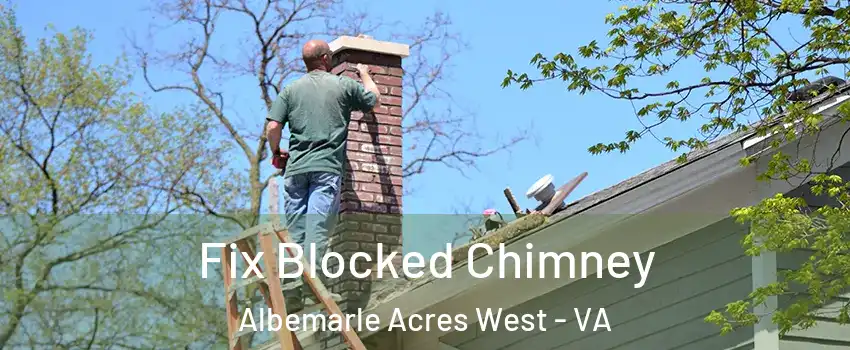 Fix Blocked Chimney Albemarle Acres West - VA