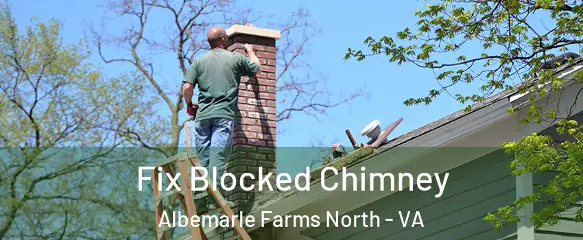 Fix Blocked Chimney Albemarle Farms North - VA