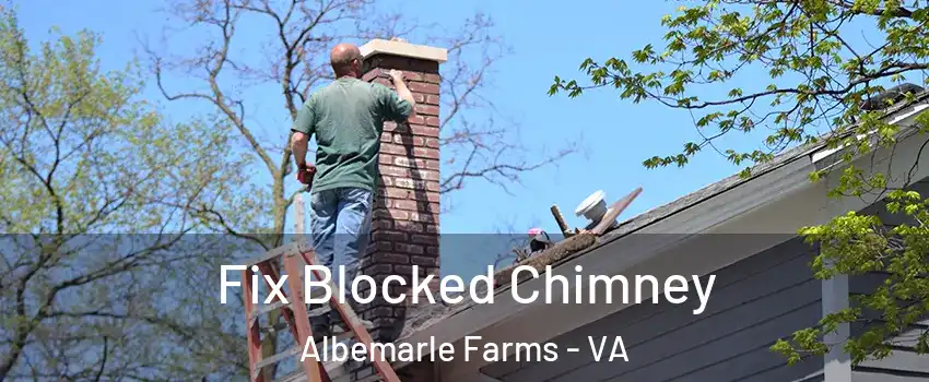 Fix Blocked Chimney Albemarle Farms - VA
