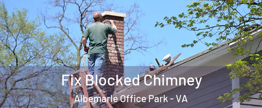 Fix Blocked Chimney Albemarle Office Park - VA