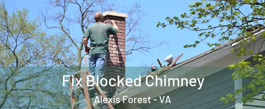 Fix Blocked Chimney Alexis Forest - VA