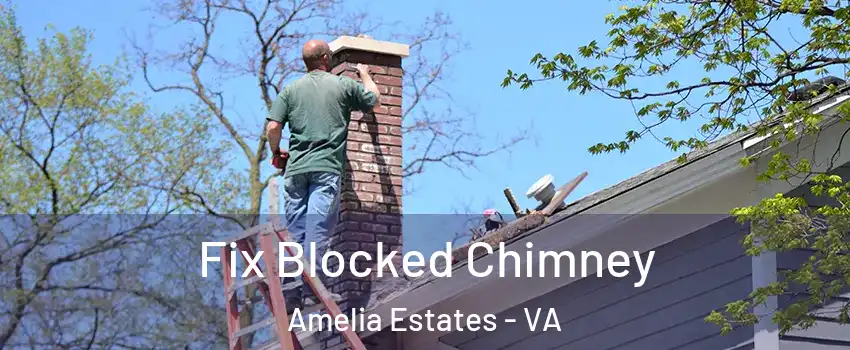 Fix Blocked Chimney Amelia Estates - VA