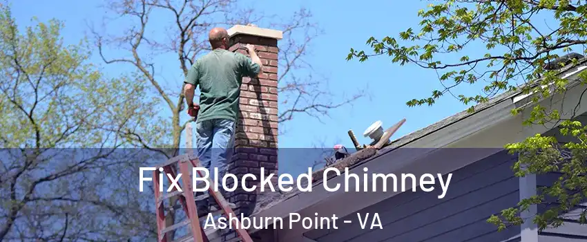 Fix Blocked Chimney Ashburn Point - VA