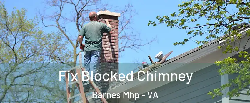 Fix Blocked Chimney Barnes Mhp - VA