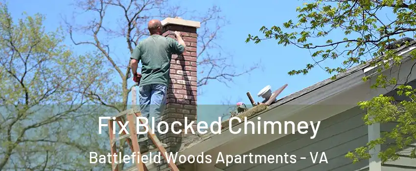 Fix Blocked Chimney Battlefield Woods Apartments - VA