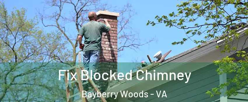 Fix Blocked Chimney Bayberry Woods - VA
