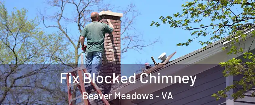 Fix Blocked Chimney Beaver Meadows - VA