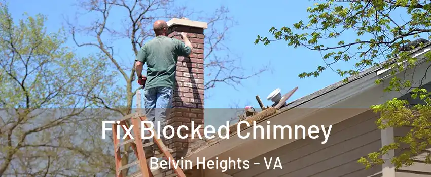 Fix Blocked Chimney Belvin Heights - VA