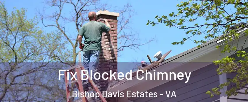 Fix Blocked Chimney Bishop Davis Estates - VA