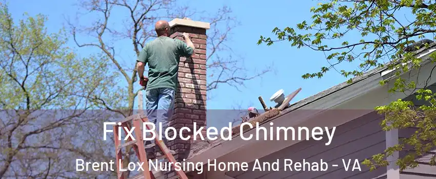 Fix Blocked Chimney Brent Lox Nursing Home And Rehab - VA