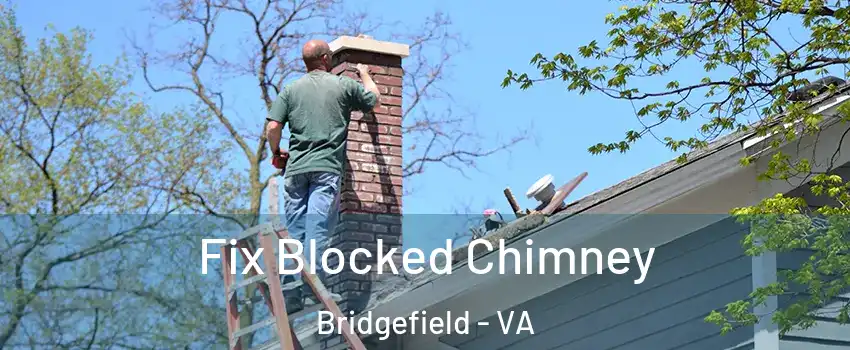 Fix Blocked Chimney Bridgefield - VA