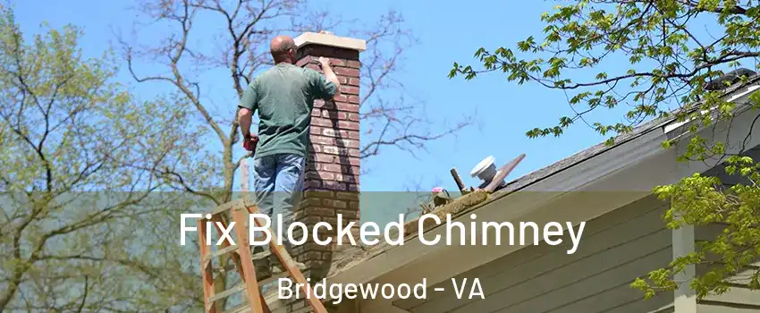 Fix Blocked Chimney Bridgewood - VA