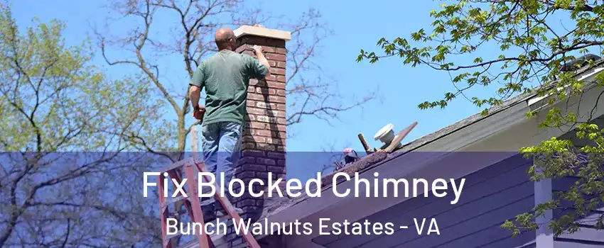 Fix Blocked Chimney Bunch Walnuts Estates - VA