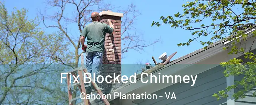Fix Blocked Chimney Cahoon Plantation - VA