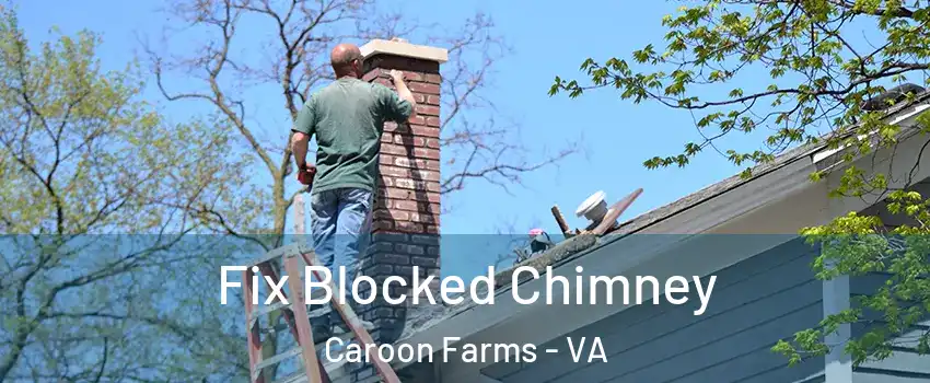 Fix Blocked Chimney Caroon Farms - VA