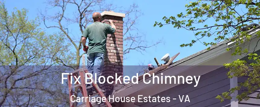 Fix Blocked Chimney Carriage House Estates - VA