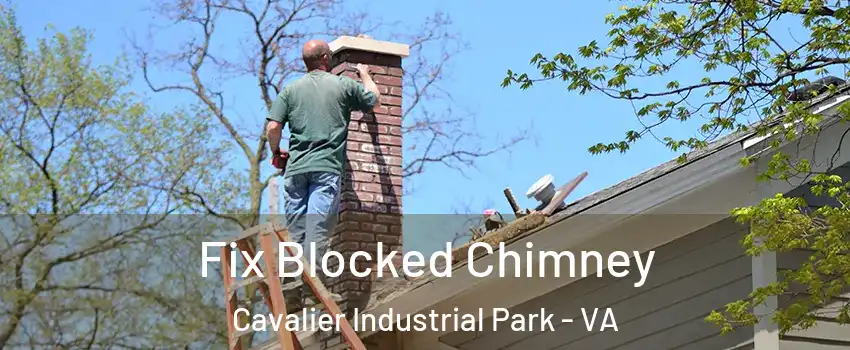 Fix Blocked Chimney Cavalier Industrial Park - VA