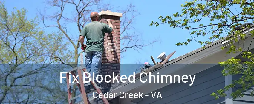 Fix Blocked Chimney Cedar Creek - VA