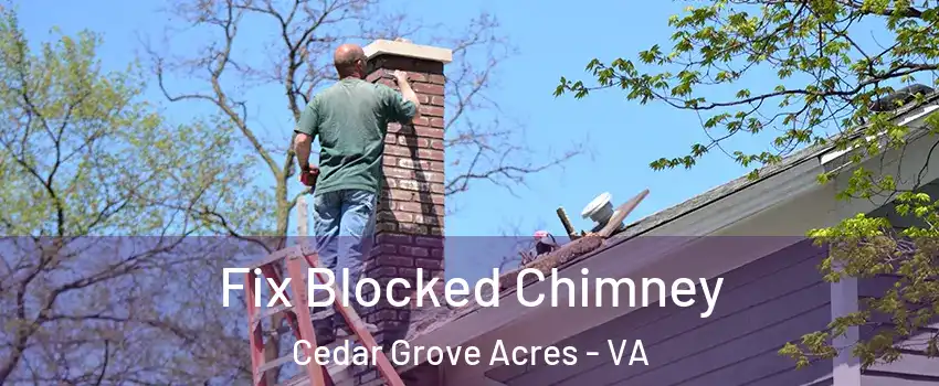 Fix Blocked Chimney Cedar Grove Acres - VA